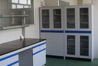 實(shí)驗(yàn)室藥品柜及器皿柜
